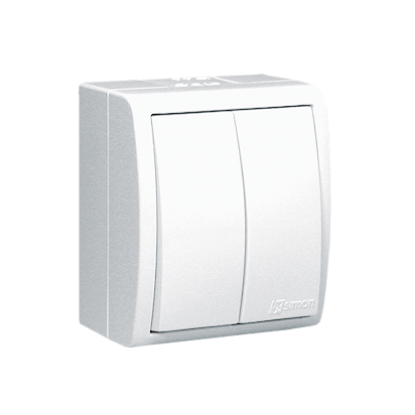 Picture of INTRERUPATOR PT DUBLU IP54 ALB 10A 250V AQUARIUS  AQW5/11