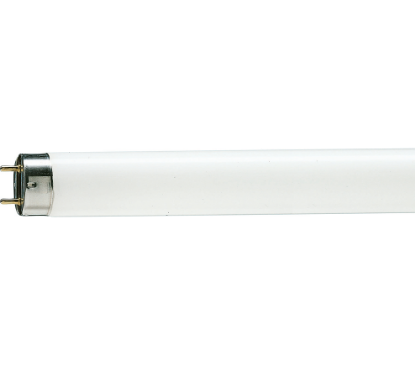 Picture of TUB FLUORESCENT T8  36W/12000K/3740lm  G13/        SNOW WHITE