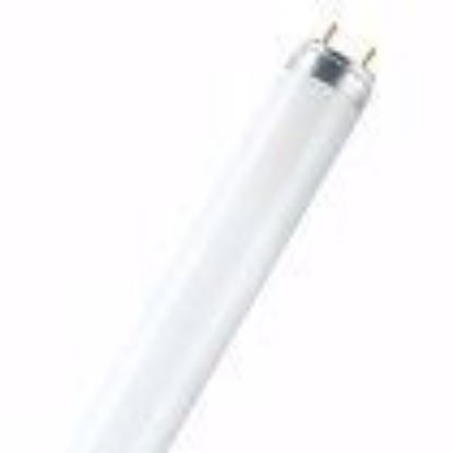 Picture of TUB FLUORESCENT T8  18W/4000K/840  G13/590MM/1350LM  LUMILUX OSRAM