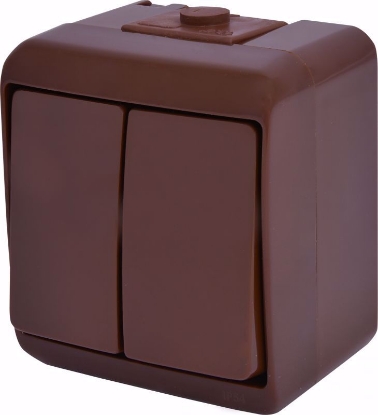 Picture of INTRERUPATOR PT DUBLU IP44 MARO 10A 250V  VHE-2-KR