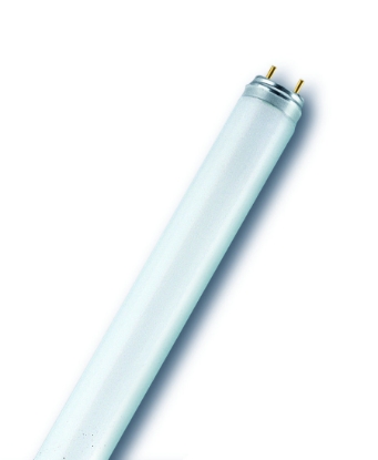 Picture of TUB FLUORESCENT T8  18W/6500K/865 G13/   LUMILUX  L18  OSRAM