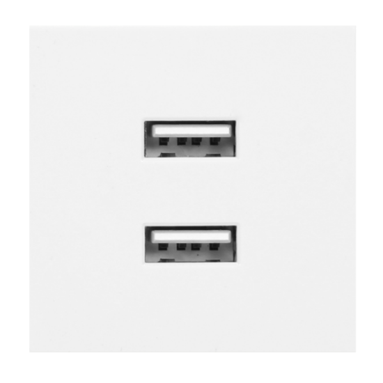 Picture of PRIZA DATE 2*RJ45, ALB, OR-GM-9010/W/USBX2