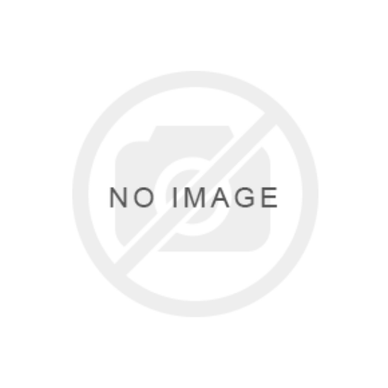 Imagine SPRAY PT GALVANIZARE LA RECE ZINCARE 400ML, 1-000025 , 03-029/25